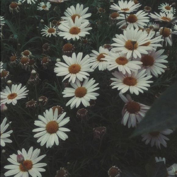 Meet your Posher, Tracy - Picture 1 of 1